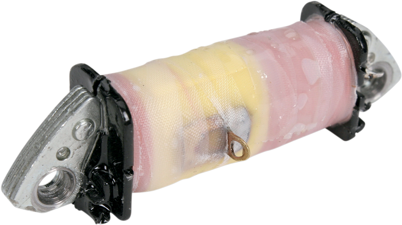 RICK'S MOTORSPORT ELECTRIC Pulse Coil - Honda 22-601